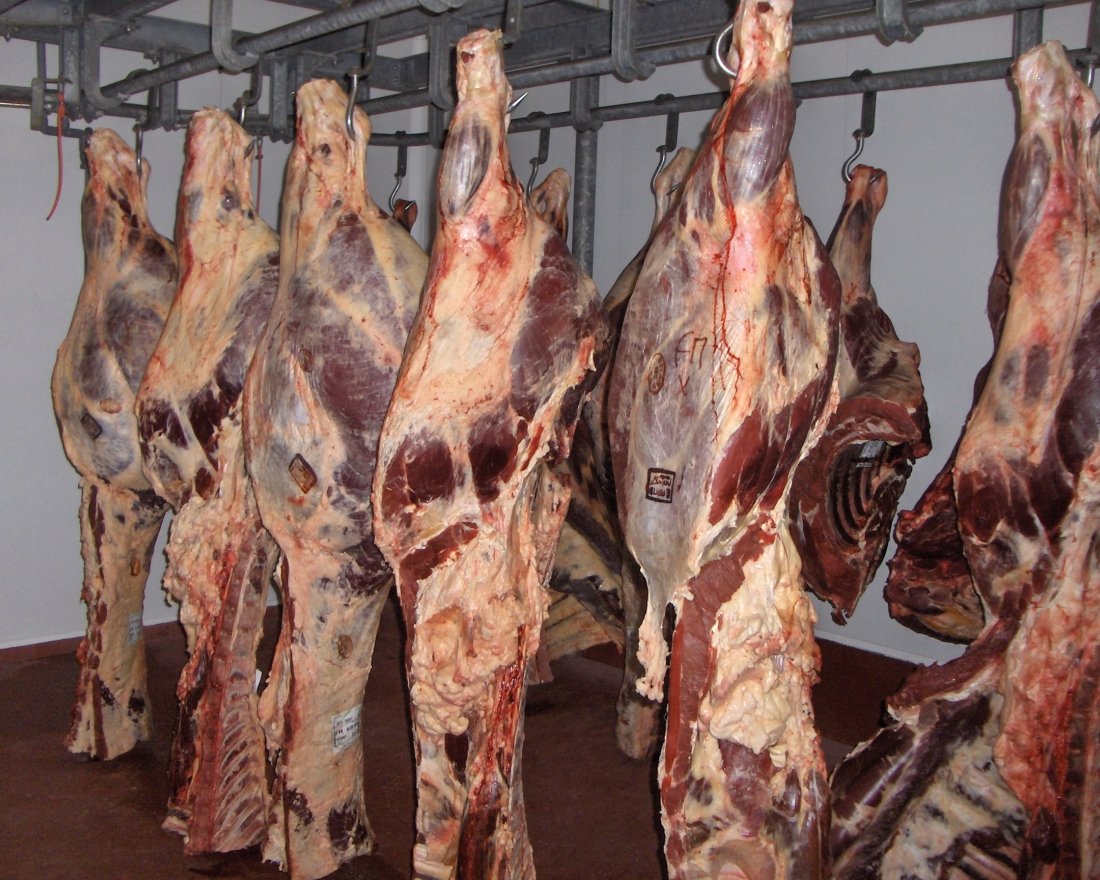 Vleesgroothandel FM MEAT, toeleverancier voor kwalitatief rundvlees naar horeca en groothandelaars.