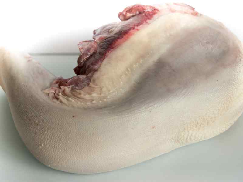 Extra grote rundstong (+/- 2.5 kg)